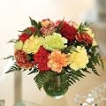 18 Luxury Carnations for the Price of 15