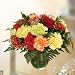 18 Luxury Carnations for the Price of 15