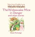 The Wideawake