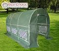 New 2010 Greenhouse 12' X 7' X 7' Large Green House Garden Outdoor