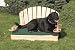 Dogirandack Chair- Small