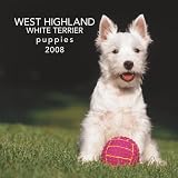 West Highland White Terrier Puppies 2008 Mini Wall: Mini 6x6