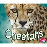 Cheetahs (African Animals)