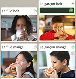 picture of Rosetta Stone Version 3: French Level 1, 2, 3, 4 & 5 with Audio Companion (Mac/PC)
