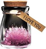 IGGI Crystal Garden Grow Your Own Wish Flower, I Love You, Pink