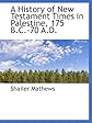 A History of New Testament Times in Palestine, 175 B.C.-70 A.D.