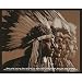 (16x20) Native Wisdom (Native American Stages of Life) Art Poster Print