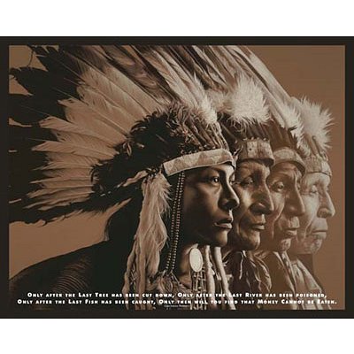 (16x20) Native Wisdom (Native American Stages of Life) Art Poster Print