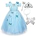 Cinderella Crystal Princess Party Costume Dress with Accessories