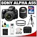 Sony Alpha A55 SLTA55VL 16.2 MP Translucent Mirror Technology Digital SLR Camera with 18-55mm Lens & 55-200mm Lens + 16GB Card + Tripod + Case + UV Filters + Cleaning & Accessory Kit