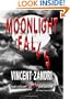 Moonlight Falls