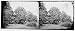 Virginia. Headquarters, New York Herald. Army of the Potomac Reprint (19 x 8 inches)