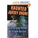 Haunted Jersey Shore: Ghosts and Strange Phenomena of the Garden State Coast (Haunted Series)