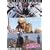 ���N�ƌ� [DVD]