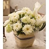 �����z�B���ԉ�����@�H�ɗ��₩�ȋG�߂ɂ҂�����̃A�����W�����g�B���^�ȕ��͋C�͌����̂��j���ɂ����X�X���y���������z�C�m�Z���X�i�K�[�x���A�����W�����g�j [���������E�����z�B]�@ �a�����E�L�O���E���j���E�����j���E���������E�����}��E�����j������̉Ԃ̔z�B��