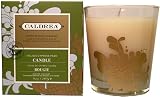 Caldrea Limited Edition Italian Cypress Pear Candle In Glass 9 Oz.