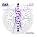 DNA Activation: LevelOne Series (4 CD Set)