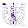 Image of album by Shapeshifter