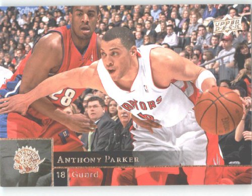 2009-10 Upper Deck #184 Anthony Parker - Toronto Raptors (Basketball Cards)