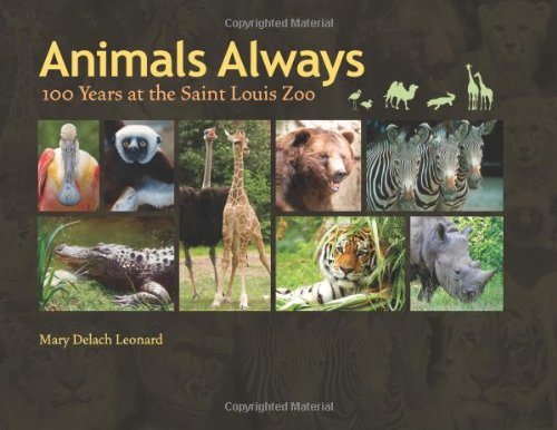 animals always 100 years at the saint louis zoo