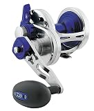 Daiwa Saltiga LD35 2-Speed Reel