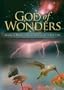 God of Wonders