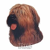 Eigenschaften Trixie  / Trixie Aufkl. Briard, blond/unkupiert, (K)