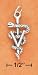Sterling Silver Antiqued Veterinary Symbol Charm with \