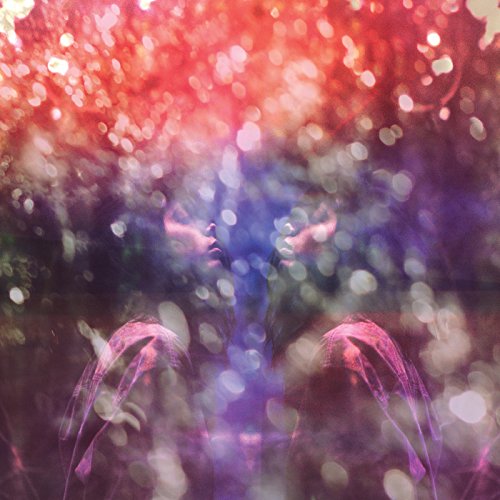 Maybeshewill - Fair Youth - Zortam Music