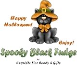 Spooky Kitty Halloween Black (dark chocolate colored black) Fudge Box