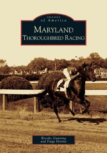 Thoroughbred