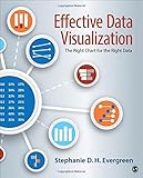 Interactive evaluation practice : mastering the interpersonal dynamics of program evaluation