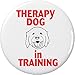 Therapy Dog in Training 1.25â€ Button Pin Service Dog Assistance Disability