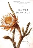 Flower Drawings (Fitzwilliam Museum Handbooks)
