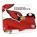 Arizona Cardinals Rock N' Road CD Holder