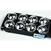 Boules Set mit 8 Kugeln (74 mm), 720 g