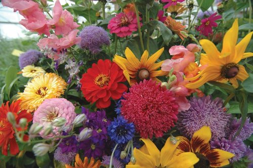Seed in a Blanket Flower Roll English Cottage Garden Mix