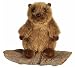 Plush GroundHog 8
