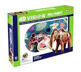 4d Vision Woolly Mammoth Anatomy Model Kit