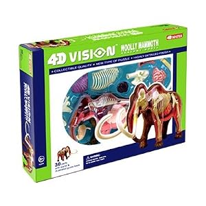Tedco 4D Vision Woolly Mammoth Anatomy Model by 