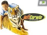 play video on Amazon Instant Video