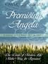 Kansas Weddings: Promising Angela (Heartsong Novella in Large Print)