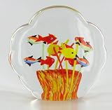 51RlF9qE0%2BL. SL160  Buy Tropical Fish Supplies