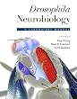 Drosophila Neurobiology: A Laboratory Manual