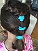 Girls Hair Clips | Seasonal