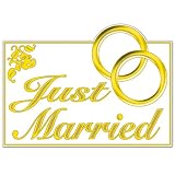 Glittered Just Married Sign