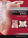 Lippincott's concise illustrated anatomy. Vol. 2, Thorax, abdomen & pelvis