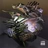 Bild des Albums von Oneohtrix Point Never