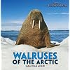 Walruses of the Arctic (Brrr! Polar Animals)