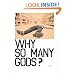 Why So Many Gods?